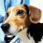 10598404_634152653366196_1014998588_a