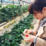 11189444_681595055280426_1599134719_a