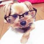 10472008_526844614111183_167999238_a