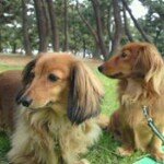 10507801_1505848752960810_65721595_a