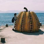 11875412_1666565650245611_1407935464_a