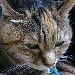 11849138_486977171468383_2050613010_a