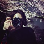 10986303_345276245682525_406849874_a