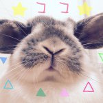 11192995_734353273332202_1136584083_a