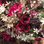 10727267_1508651402746640_920726470_a