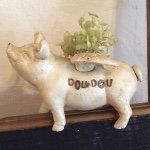 11377627_472873809555482_107579765_a