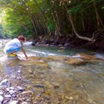 11820439_880326372020994_1619766089_a