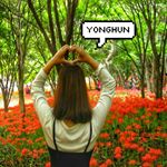 11925621_164011587278411_1140211916_a