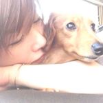 11262889_687542844709918_352644862_a