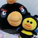 11335120_1415797755416200_912341053_a