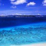 11856752_487910578050062_885738143_a