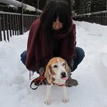 10963851_788894457814720_1882764304_a