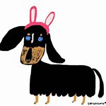 11363686_864053143631384_1093438127_a