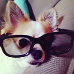 11252180_1714394138784304_1853690567_a