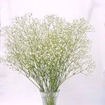 11373618_908203222548707_666959642_a