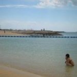 11208549_972669182772674_1457386223_a