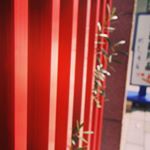 11917897_861737317213938_1480279150_a