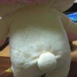 11373759_509418155892440_1556639058_a