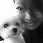 1515739_1679641895655528_1322535066_a