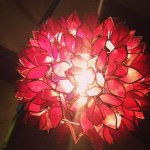 11098621_1590797944508024_2021992441_a