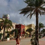 11856729_1001160929949127_977410784_a