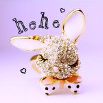 11093088_1607476856135615_286165383_a