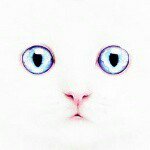 10817555_823362881036307_1327846669_a