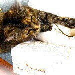 10706949_700706010017385_1829493197_a