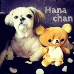 10268737_1433598330223199_617898540_a