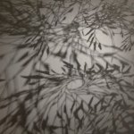 11821248_1617020008554113_1696068780_a