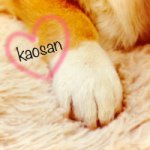 10693552_369856109828797_1676015835_a