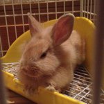 11881661_418202568386237_2101233592_a