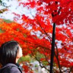 11374528_961890857164947_1367615622_a