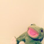 11881701_890474634377562_1371762345_a