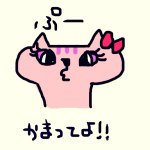 10735454_1524659171113479_1101475572_a