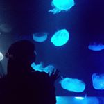 11881569_737282473065697_2079629529_a