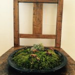 11348358_1407618842897083_133264009_a