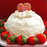 11282734_150165721983097_1654926257_a