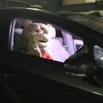 11899727_1490915647875678_907686405_a