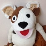 10513751_263009527241060_1929029007_a