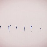 10488781_339450106180181_770033881_a