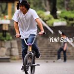 11189155_441932362682045_1508826750_a