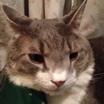 11848993_475468755950175_588927582_a