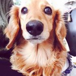 11419074_845956362154641_657870141_a