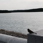 10261142_453123464889351_1684901102_a