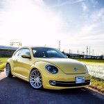 11335814_1582487062002935_392414769_a