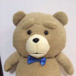 10983597_1553077998312336_1271890385_a