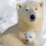 11336100_855570967852032_525400674_a