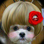 10735558_544022709074429_347730852_a