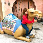 11184620_362968283895168_1205471050_a